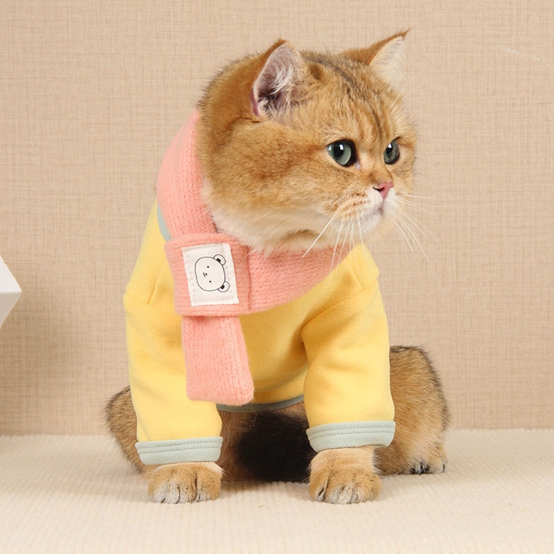 Cute Jacket Clothes for Cats - Clothes for cats