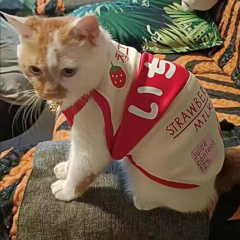 Cute Milk Clothes for Cats - Clothes for cats