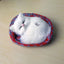 Cute Realistic cat plush - White