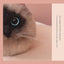 Cute Siamese Handbag - Cat Handbag