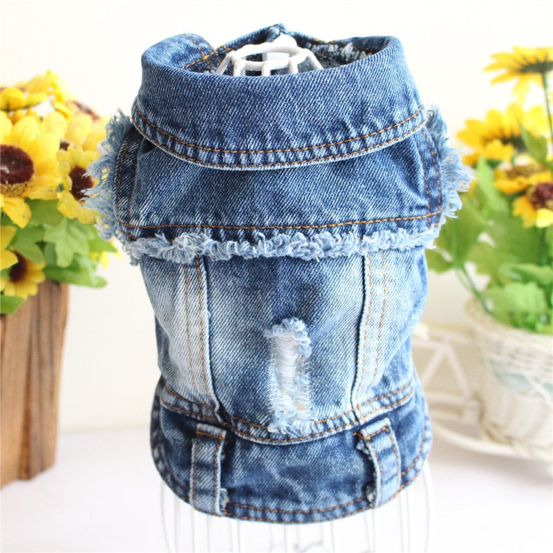 Denim Cat Clothes - Washed Blue / XS - Clothes for cats
