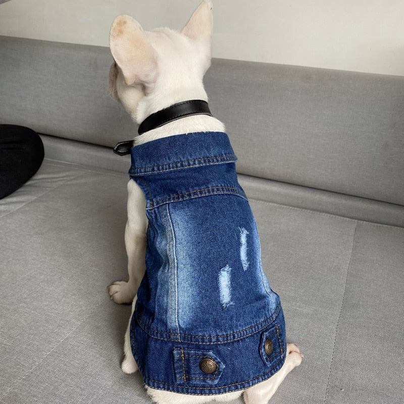 Denim Cat Clothes - Clothes for cats