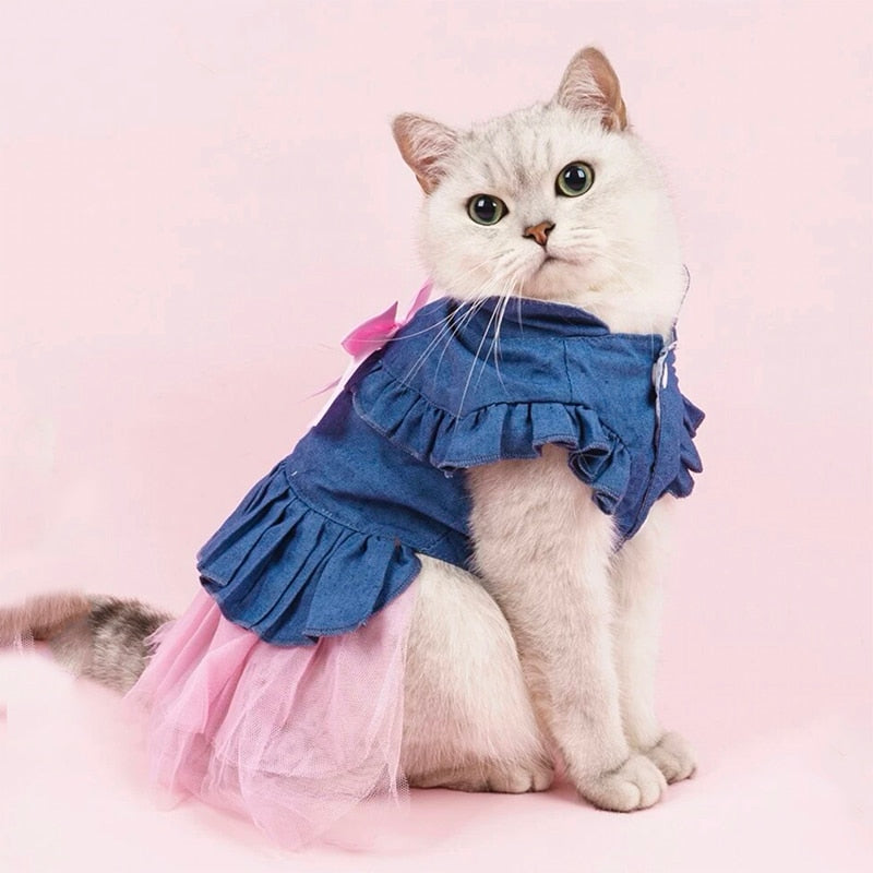 Denim Cat Dress