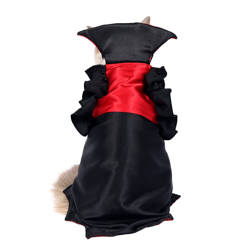 Devil Costume for Cats - Black / M