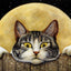 Diamond Painting Crazy Cats - Yellow / 20x30cm-Round Drill