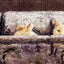 Diamond Painting Crazy Cats - White / 20x30cm-Round Drill