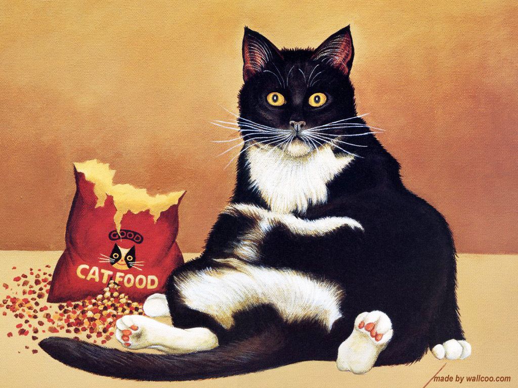 Diamond Painting Crazy Cats - Orange / 20x30cm-Round Drill