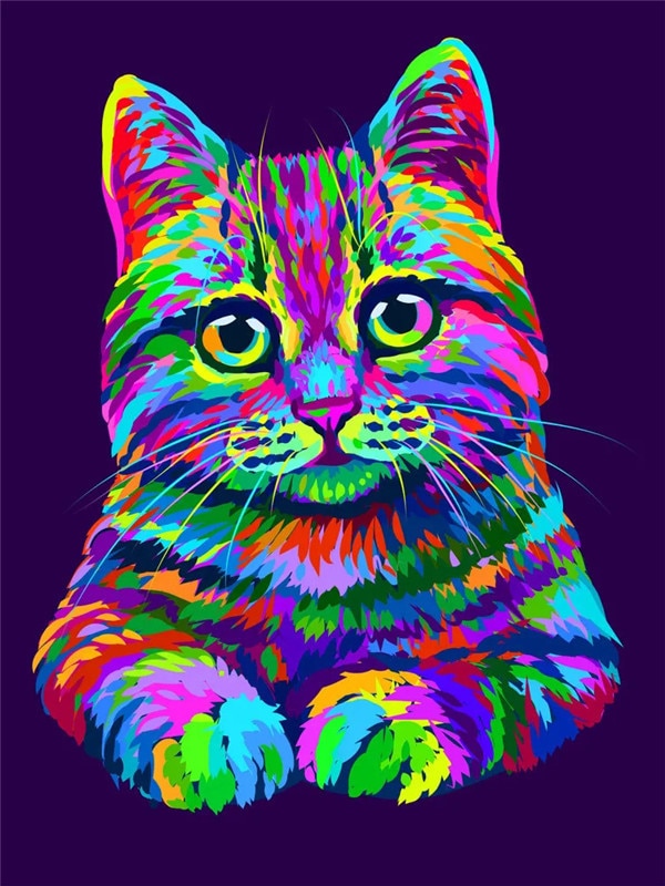 Diamond Painting Rainbow Cat - Rainbow / Full Square 20X30cm