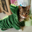 Dinosaur Costume for Cats