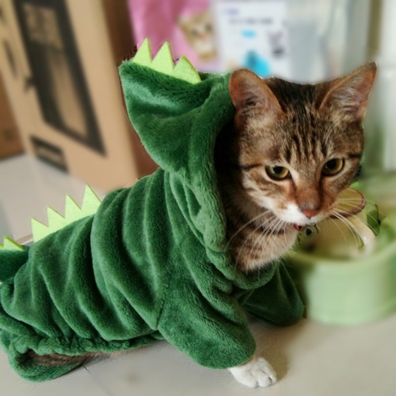 Dinosaur Costume for Cats