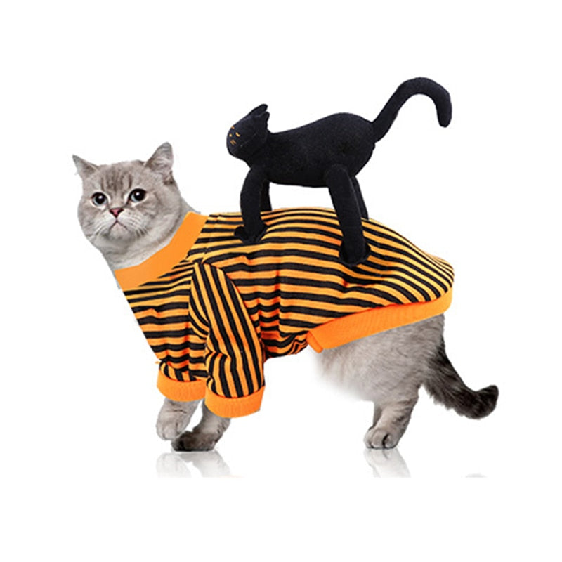 Dog Costume for Cat