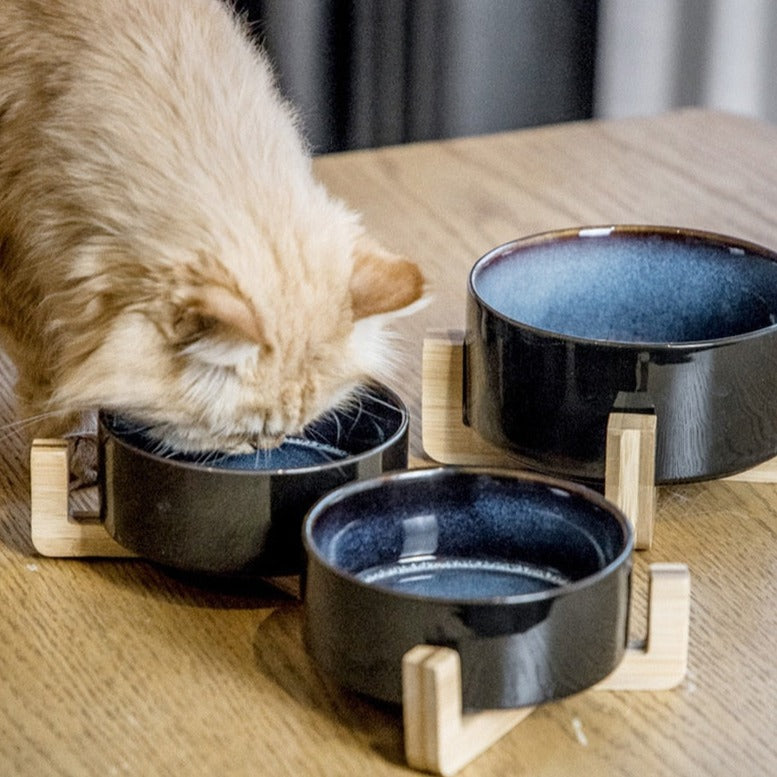 Double Cat Bowl - Cat Bowls