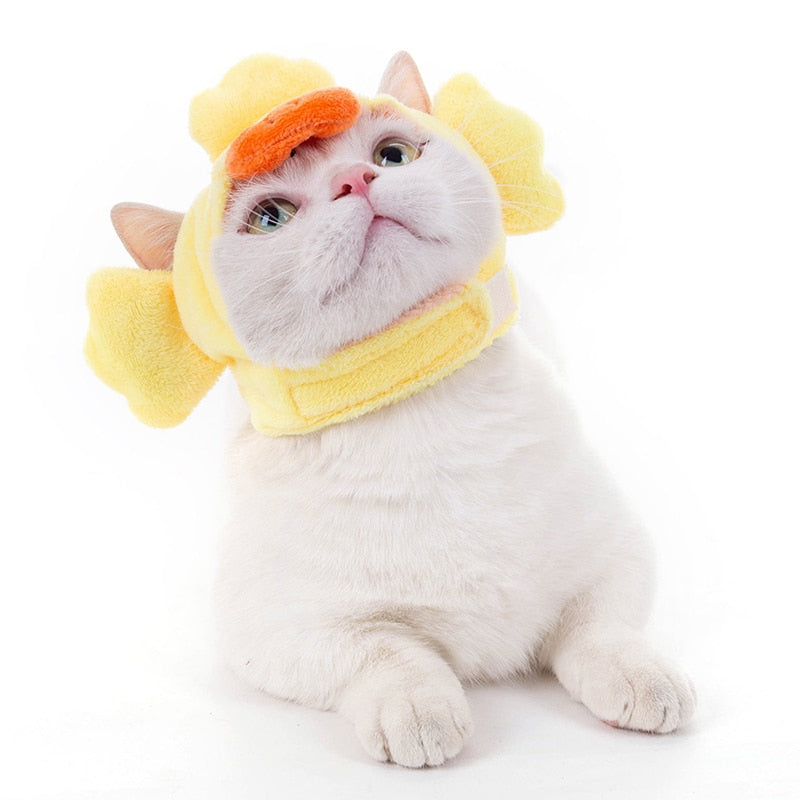 Duck Hat for Cat - Hat for Cats