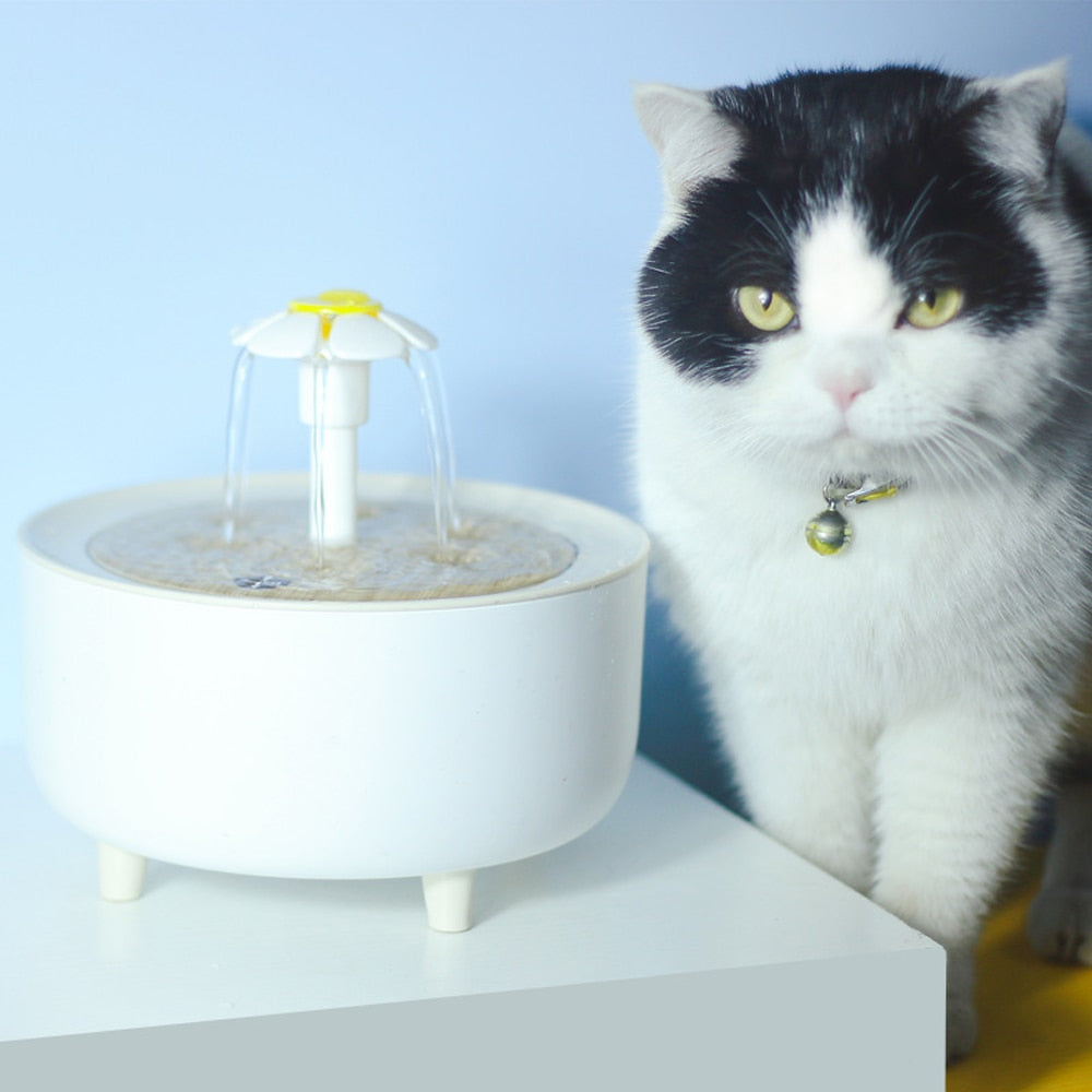 Cat fountain easy to 2024 clean