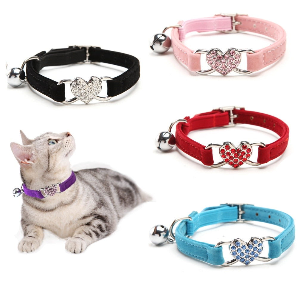 Elastic Cat Collars - Cat collars
