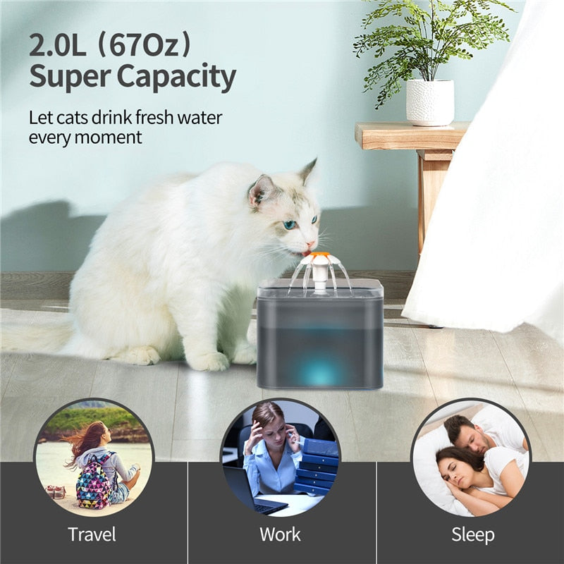 Electronic Cat Food Dispenser - Cat Food Dispenser
