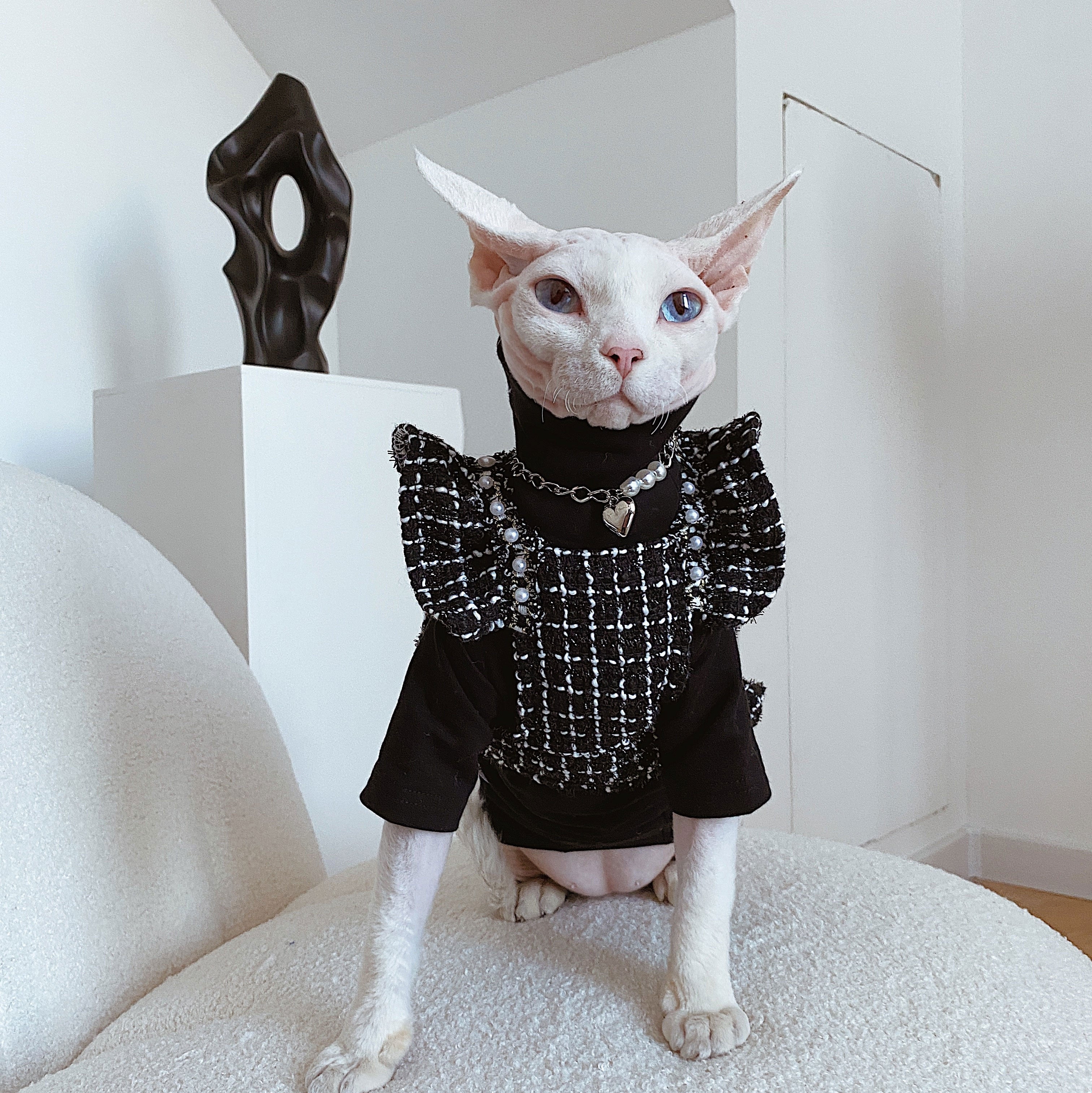 Elegant Black Clothes for Cats - Clothes for cats