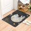 Entrance Cat Rug