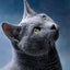 Fat Cat Diamond Painting - Blue / 15x20cm Square Drill