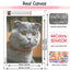 Fat Cat Diamond Painting