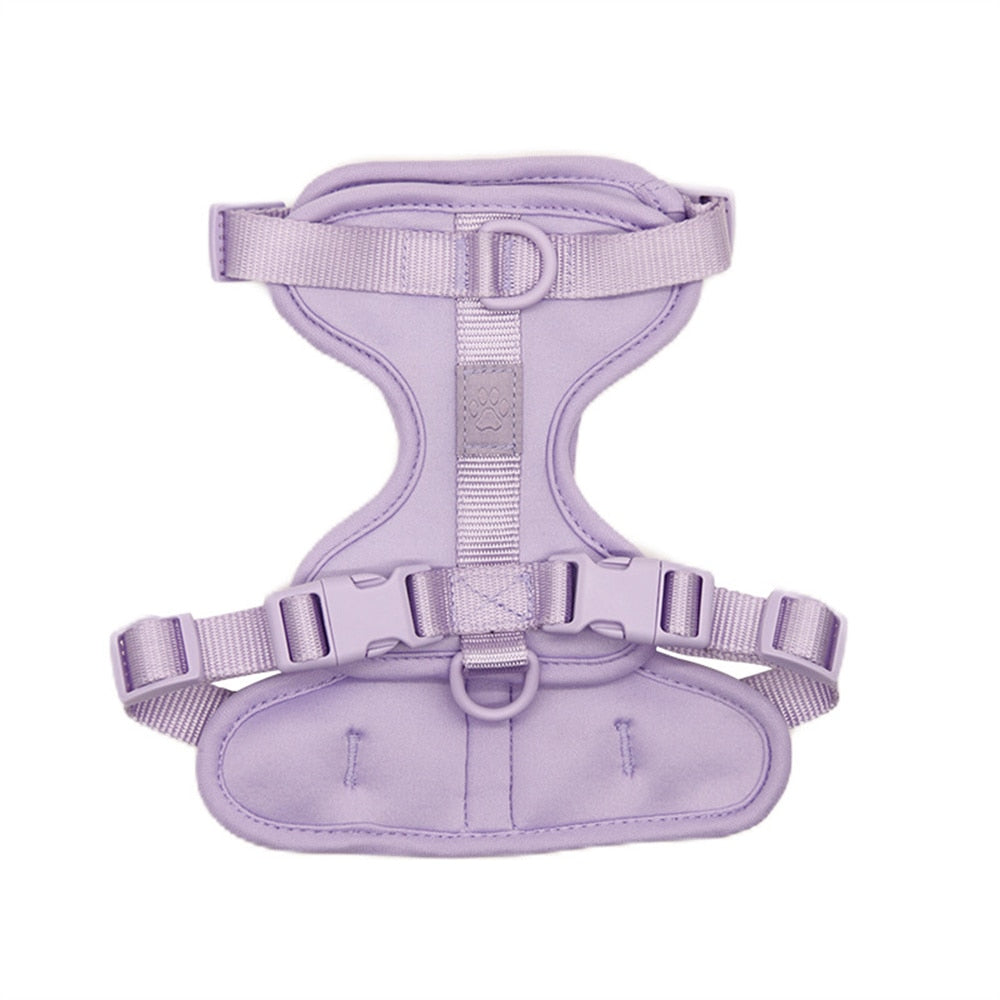 Fat Cat Harness - Purple / XS - cat harness leash
