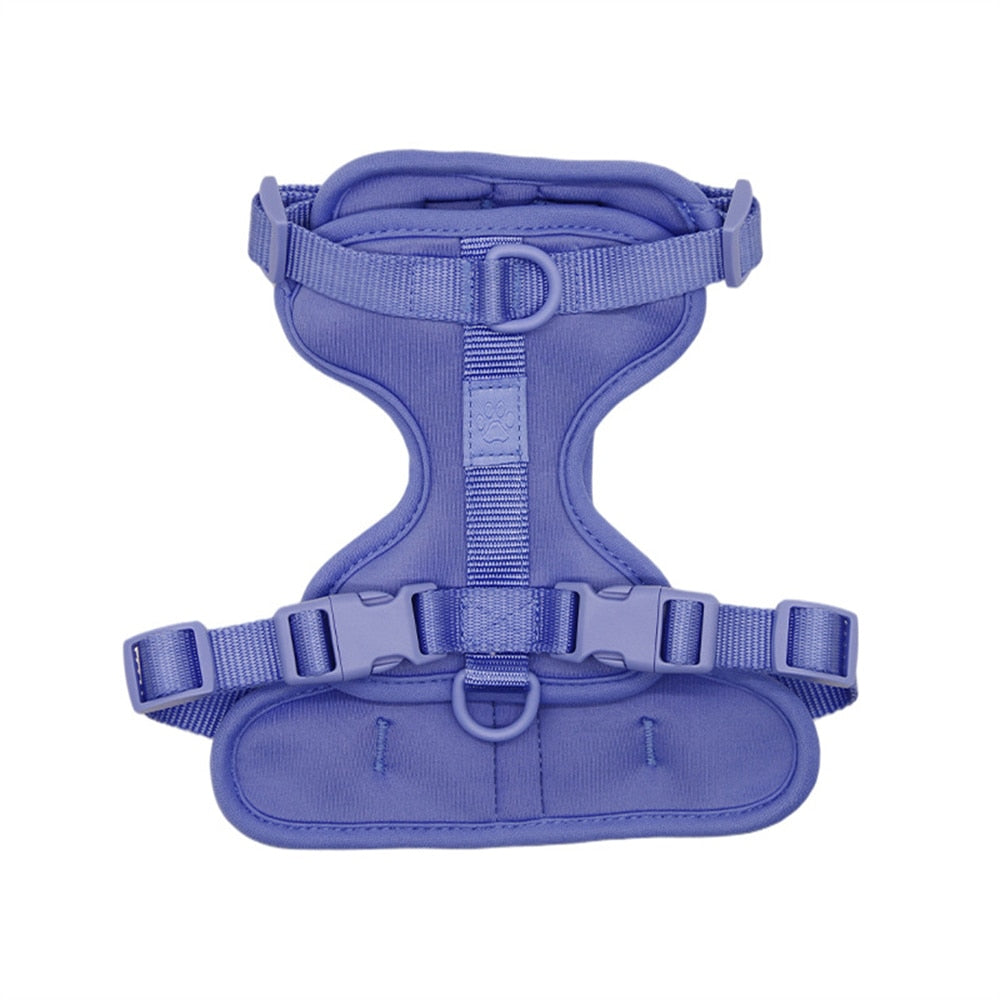 Fat Cat Harness - Blue / XS - cat harness leash