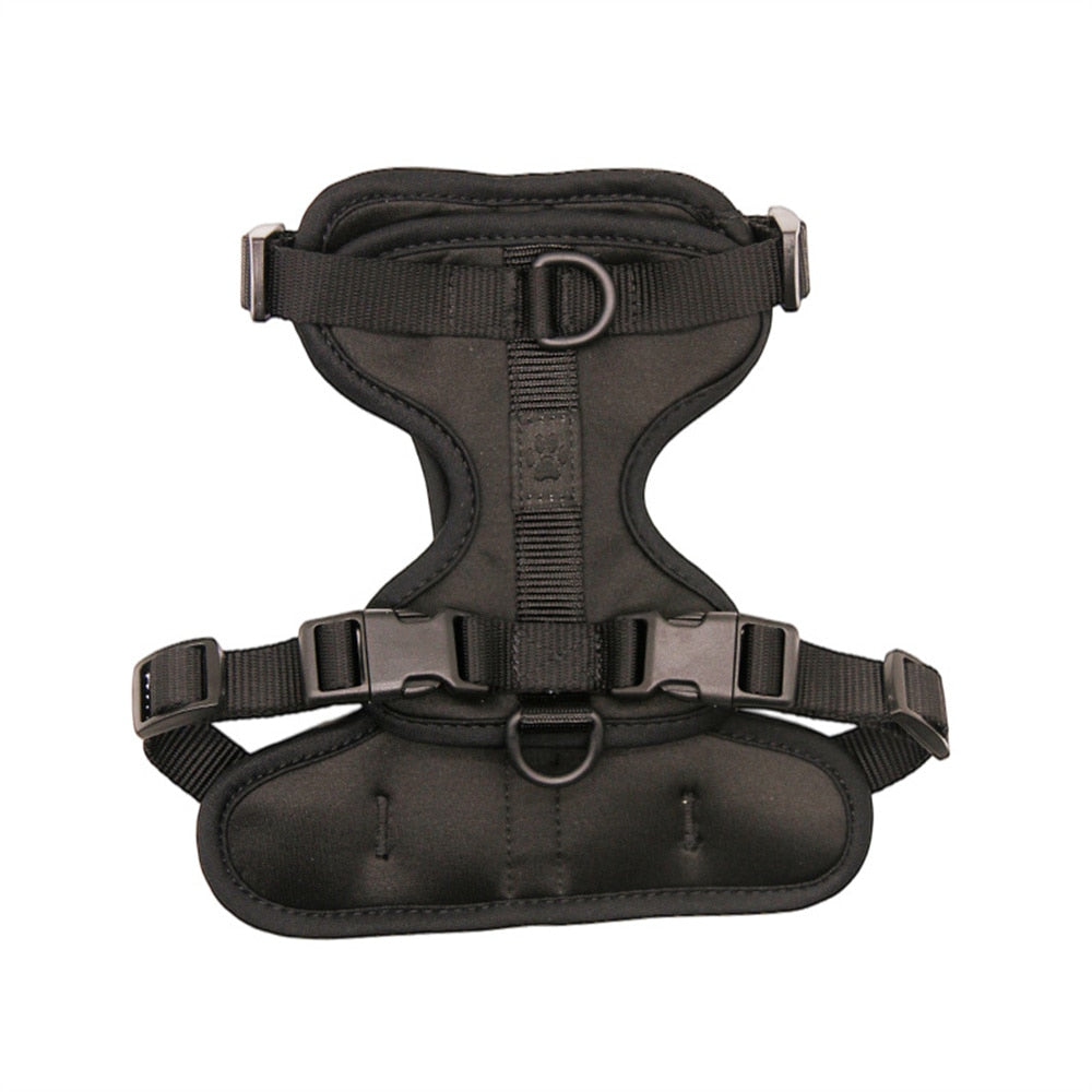 Fat Cat Harness - Black / XS - cat harness leash