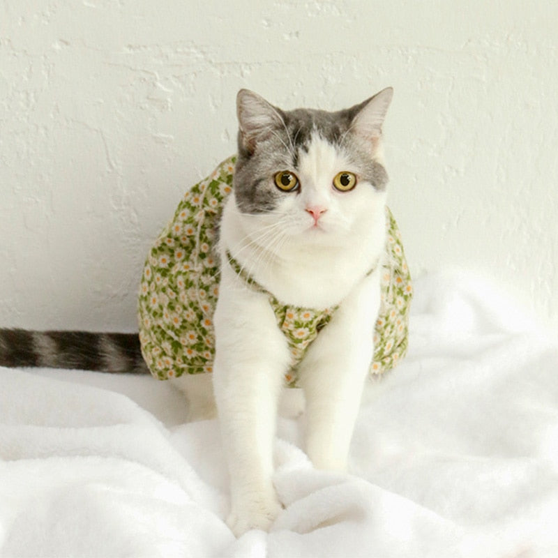 Floral Cat Clothes - Clothes for cats