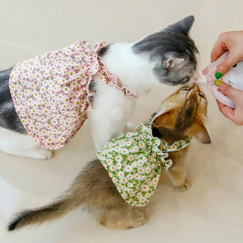 Floral Cat Clothes - Clothes for cats