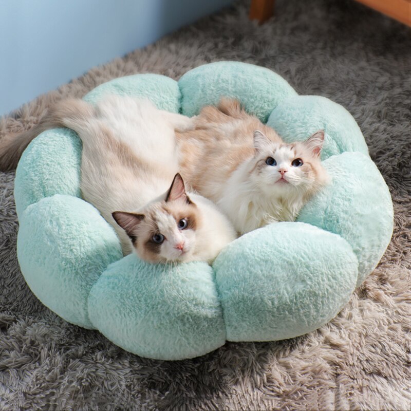 Flower Cat Bed