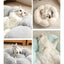 Flower Cat Bed