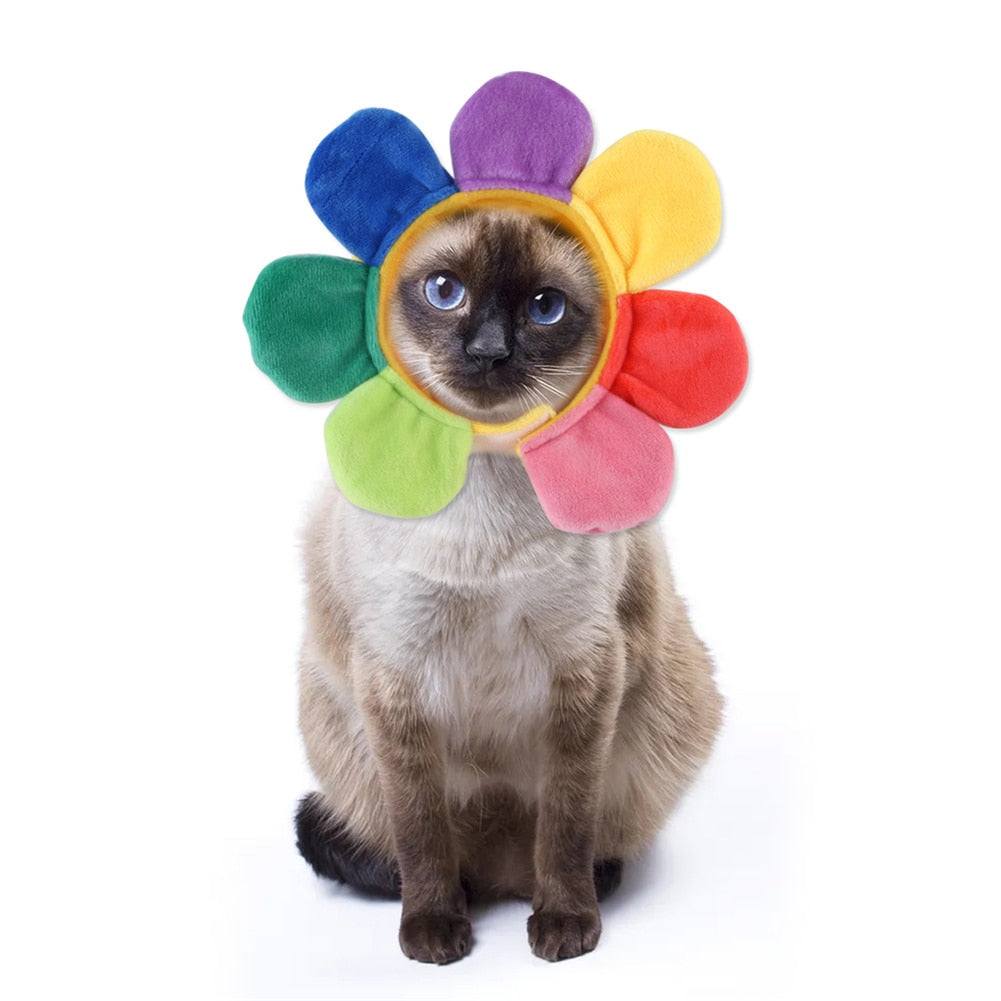 Flower Hat for Cats - Flower / One Size - Hat for Cats