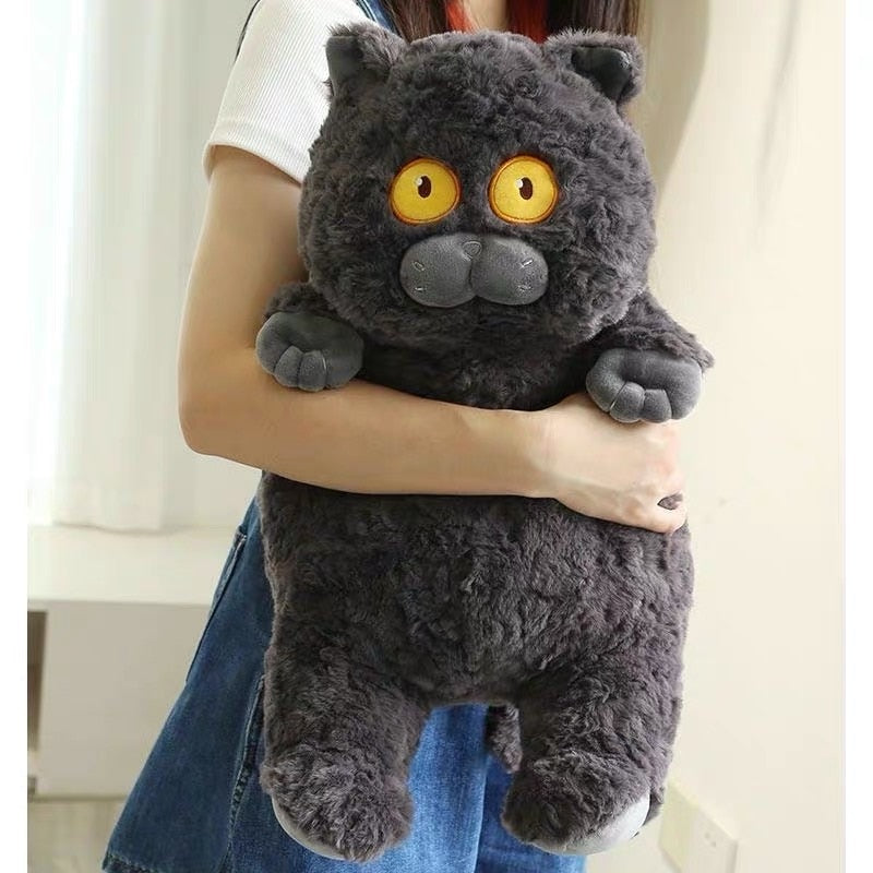 Fluffy Black Cat Plush - Fluffy Black Cat Plush