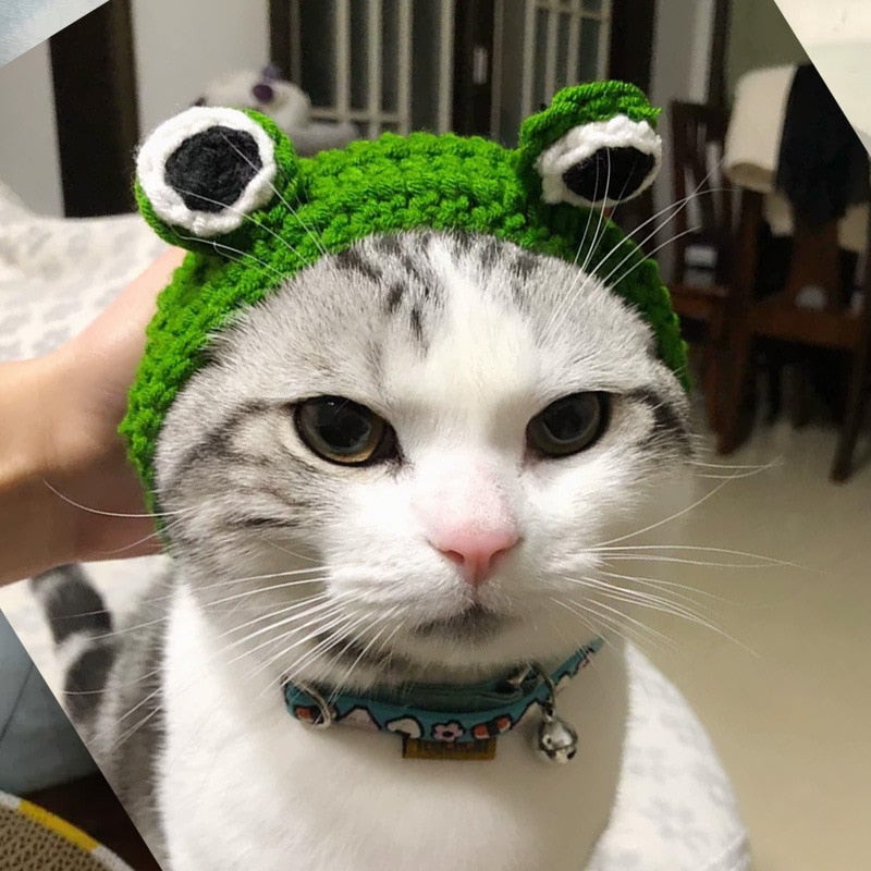 Frog Costume for Cat