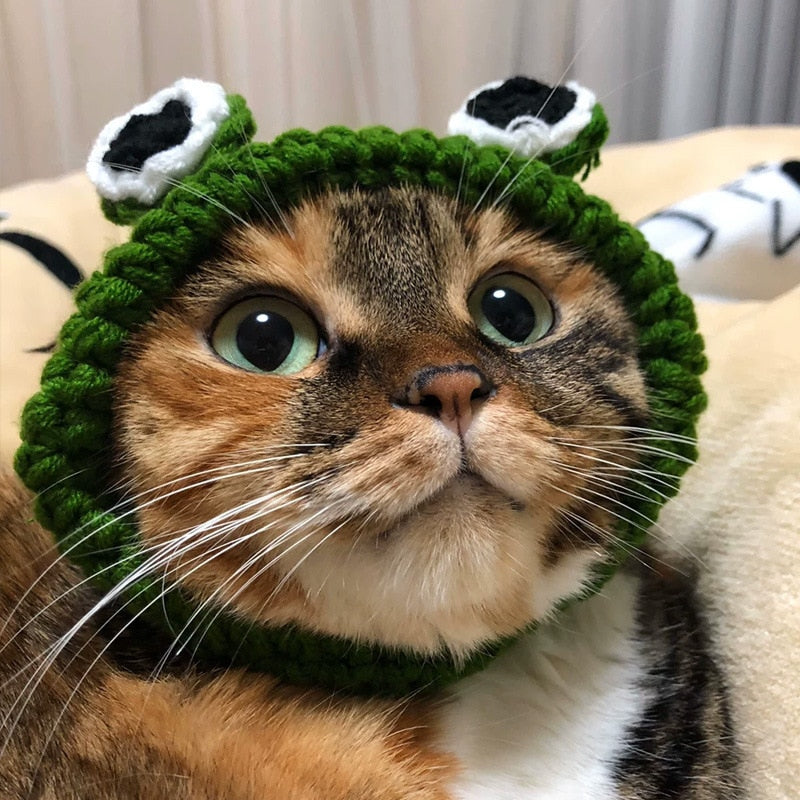 Frog Costume for Cat