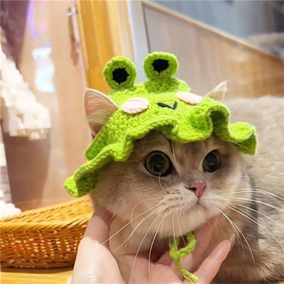 frog-winter-hat-for-cat