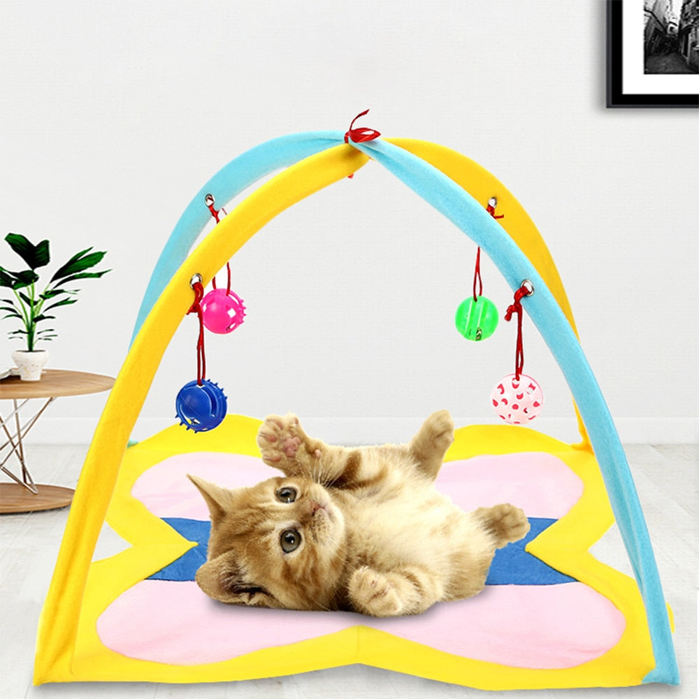 Funny Cat Bed