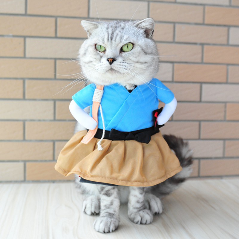 Funny Costumes for Cats
