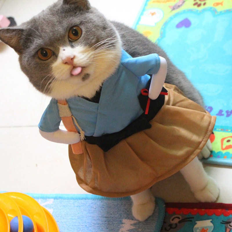 Funny Costumes for Cats