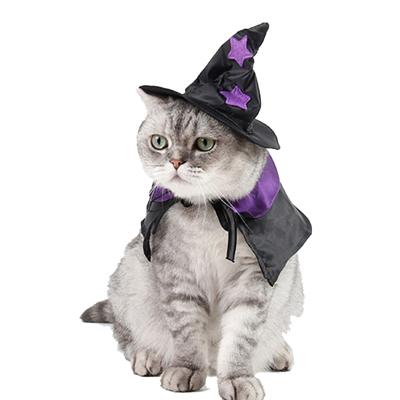 Ghost Costume for Cat