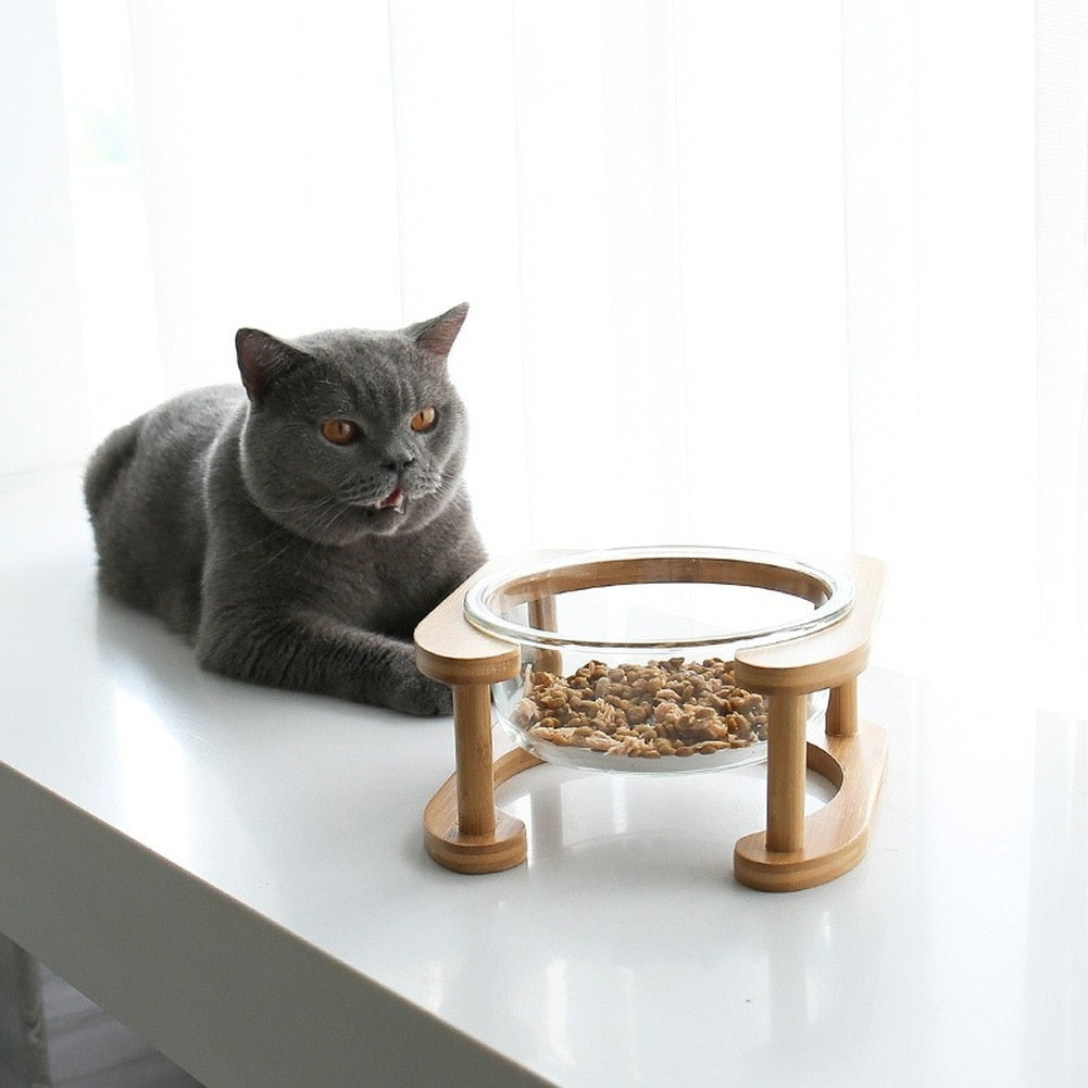 Glass Cat Bowls - Cat Bowls