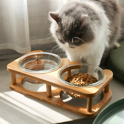 Glass Cat Bowls - Cat Bowls