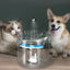 Glass Cat Water Fountain - Cat water fountain
