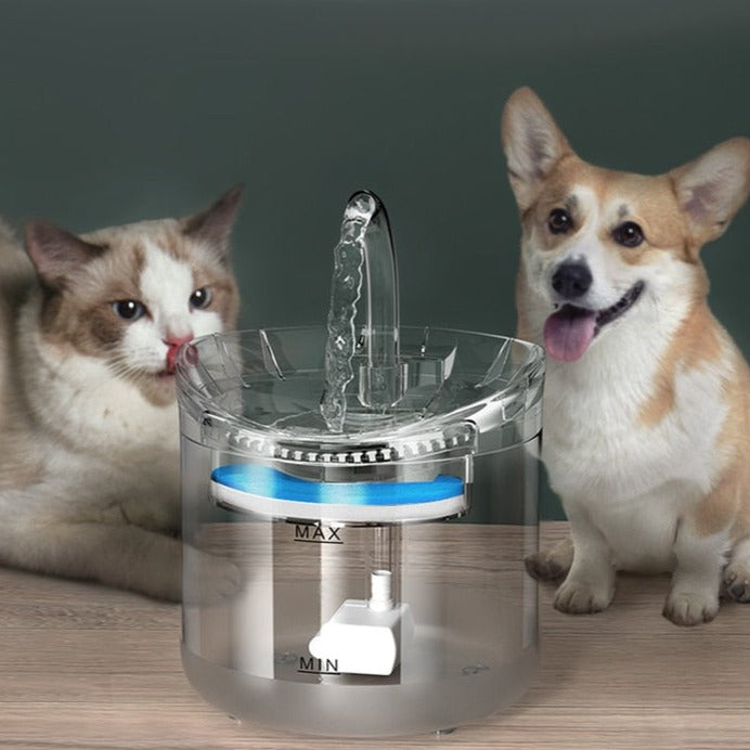 Glass Cat Water Fountain - Cat water fountain