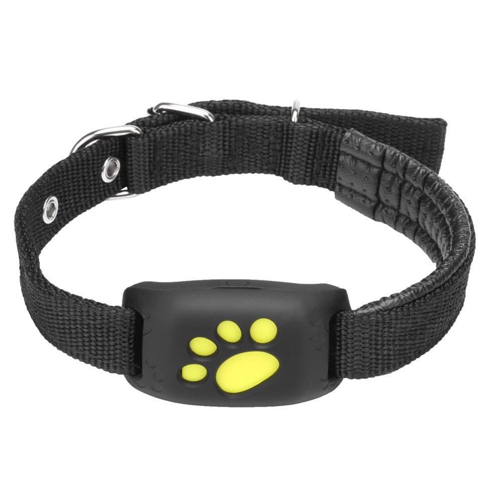GPS Cat Collars - Cat collars