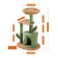 Green Cat Tree - Circle / United States