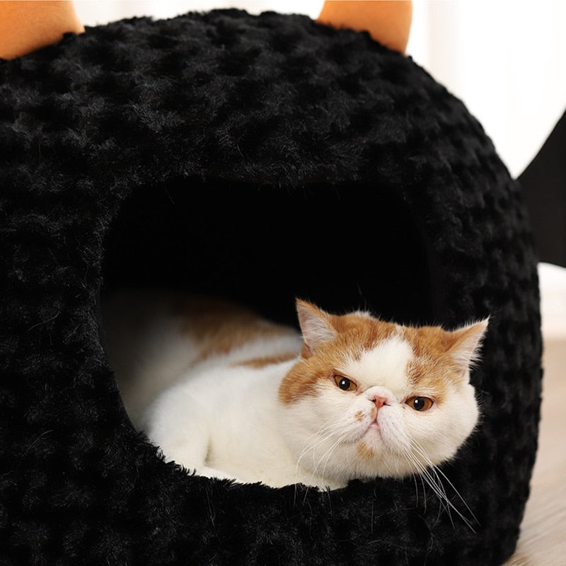 Halloween Cat Bed