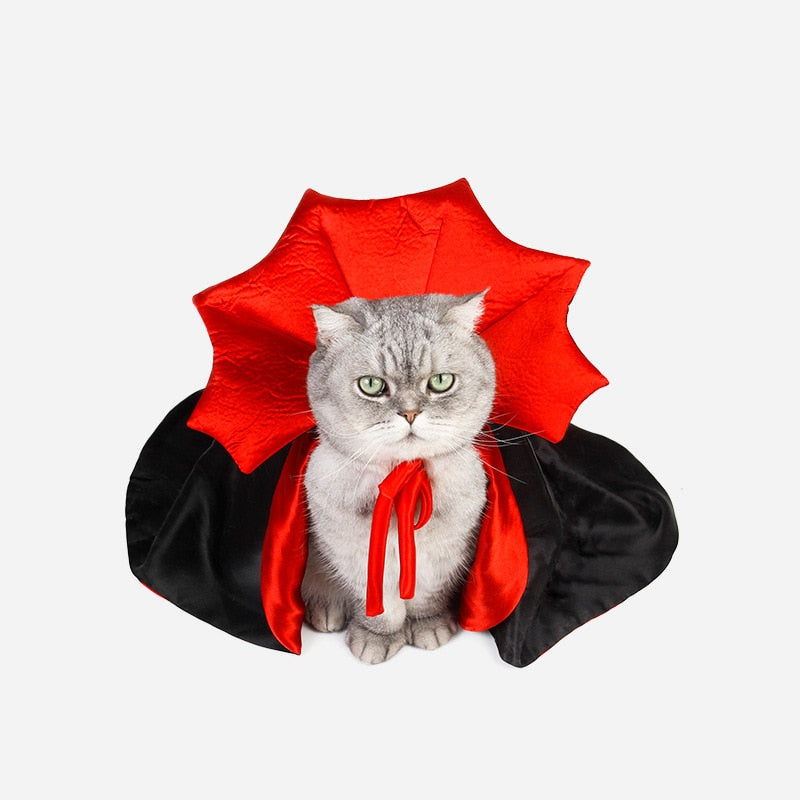 Halloween Costume for Cats