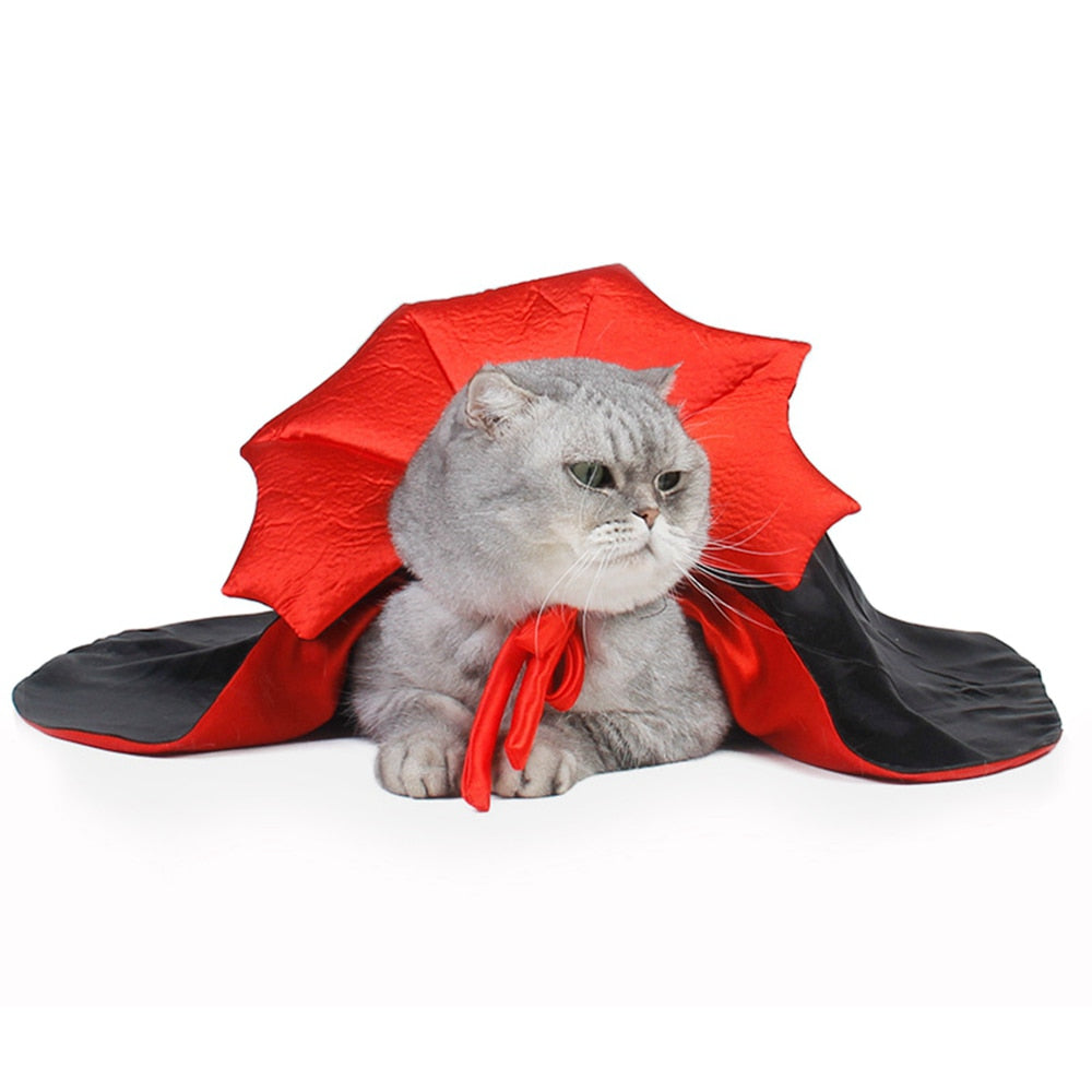 Halloween Costume for Cats