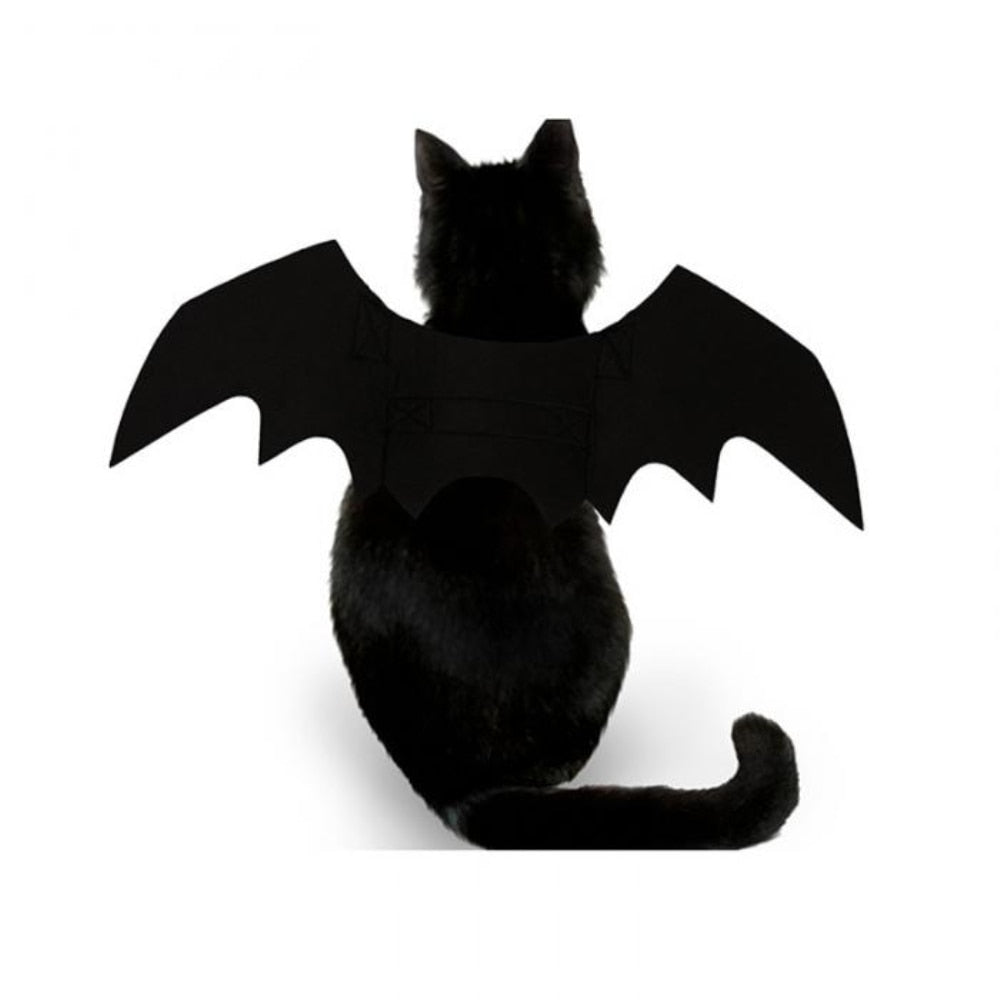 Halloween Costumes for Black Cats